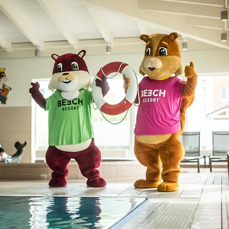 Beech بولتينهاجين